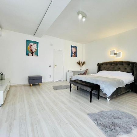 Panoramic Studio Lejlighed Cluj-Napoca Eksteriør billede