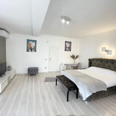 Panoramic Studio Lejlighed Cluj-Napoca Eksteriør billede
