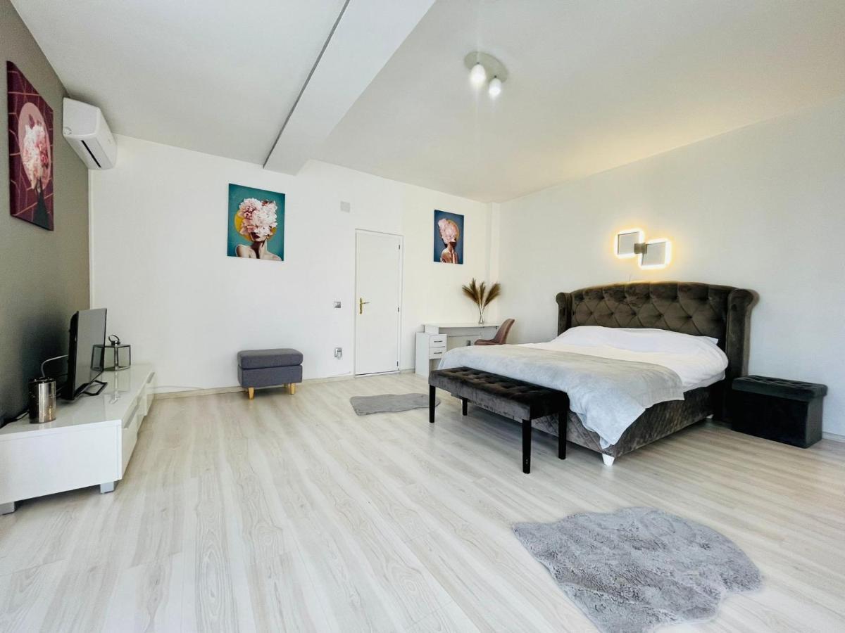 Panoramic Studio Lejlighed Cluj-Napoca Eksteriør billede