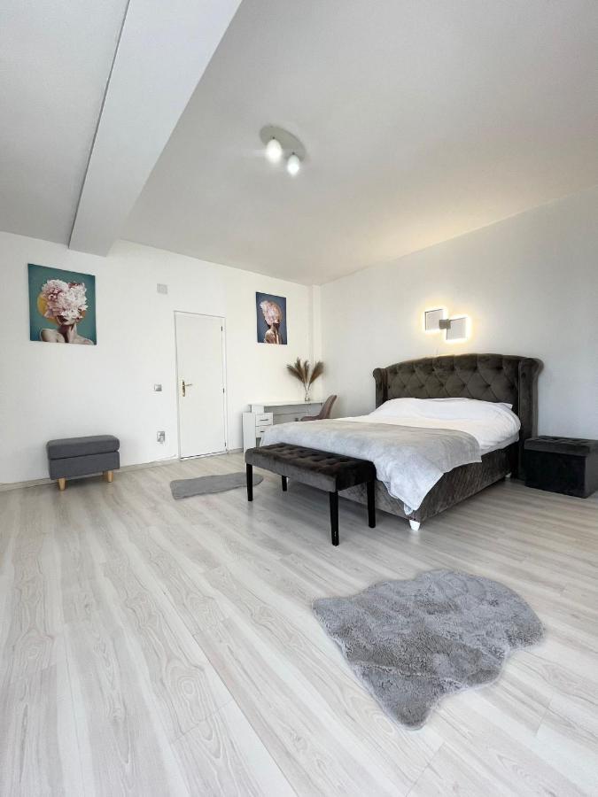 Panoramic Studio Lejlighed Cluj-Napoca Eksteriør billede