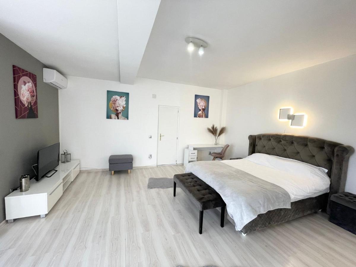 Panoramic Studio Lejlighed Cluj-Napoca Eksteriør billede