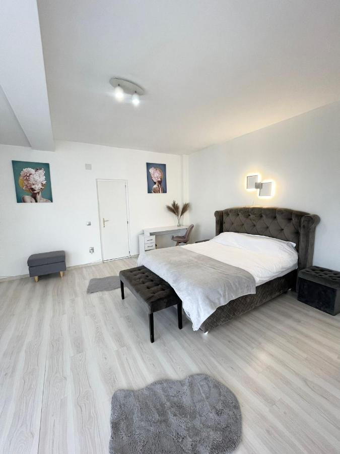 Panoramic Studio Lejlighed Cluj-Napoca Eksteriør billede